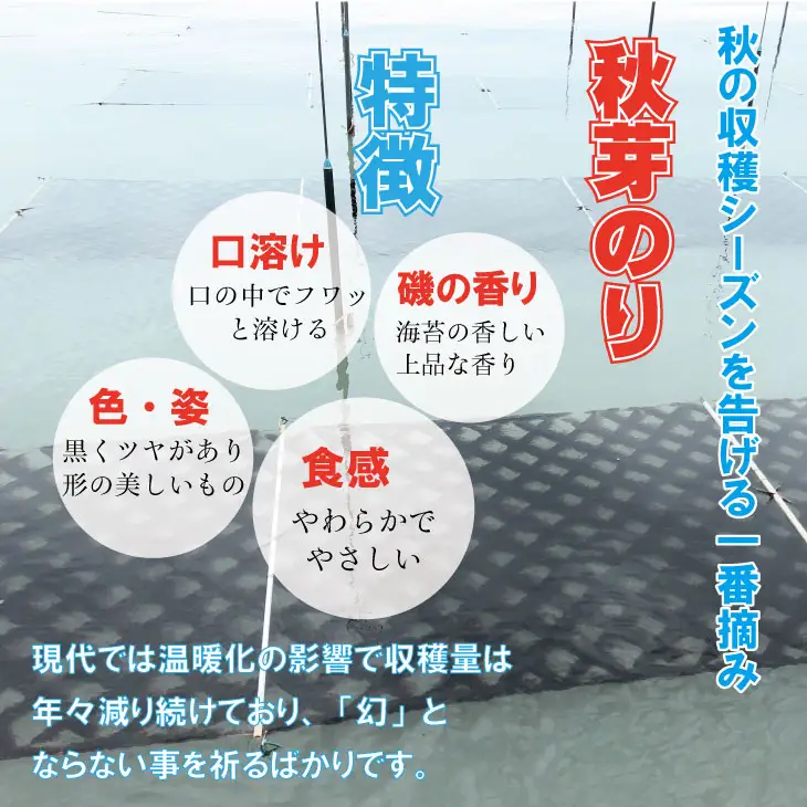 R7年産 幻の秋芽有明海苔（塩・焼き）セット  ひので水産 B140-044 海苔 のり B140-044