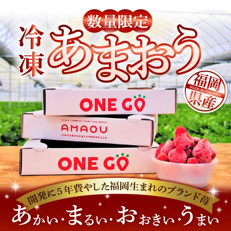 【数量限定】福岡県産あまおう（冷凍1kg）特別栽培_数量限定 急速冷凍 いちご あまおう 1kg 冷凍 3Dフリーザー 長期保存可能 国産 サクサク シャーベット フルーツ デザート フレッシュ 果物 便利 安心 長持ち 保存料不使用 無香料 無加糖 エコファーマー GAP認定 福岡県 久留米市 送料無料 〔Fi203〕
