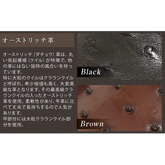 革靴 ビジネスシューズ オーストリッチ 黒 国産 革靴 23.5cm