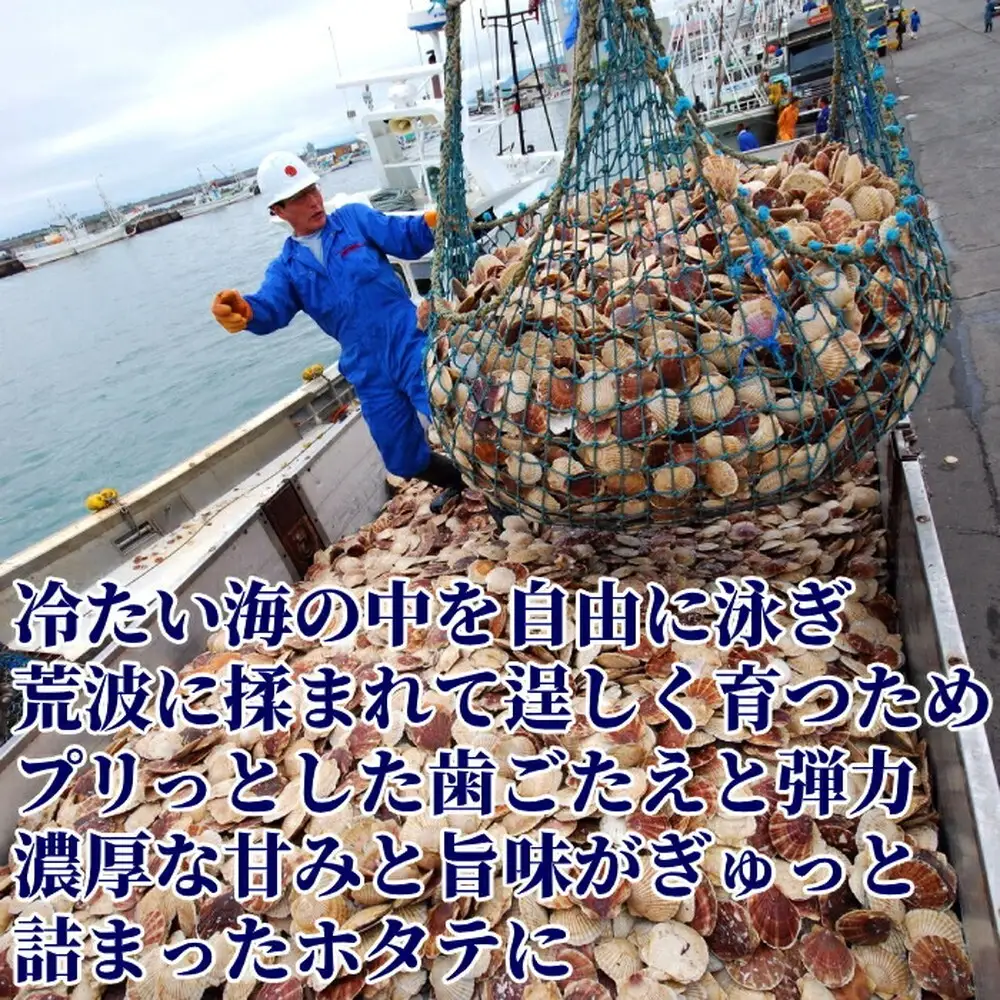 30-125 北海道オホーツク海産ホタテ玉冷ジャンボサイズ(1kg)