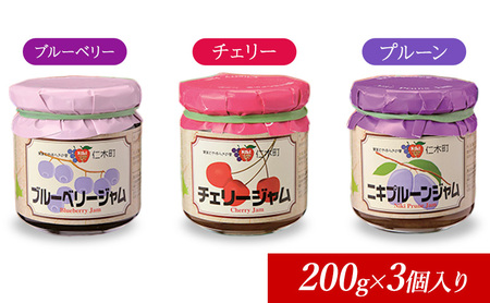 ジャムセット JA新おたる ブルーベリープルーン 北海道産 ジャムセット【200g×3個】