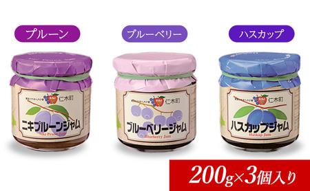 ジャムセット 紫色果実 JA新おたる 北海道産 ジャムセット【200g×3個】