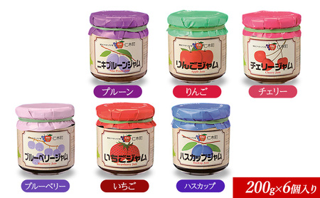 ジャム詰合せ JA新おたる 北海道産 ジャム詰合せ【200g×6個】