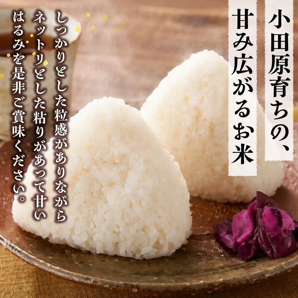 志村屋米穀店 令和7年産小田原市産　はるみ  5kg