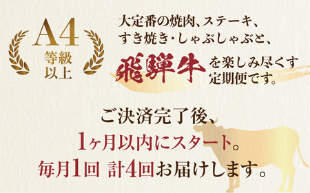 定期便 飛騨牛 4回 食べ比べ 牛肉  [S091_re] 定期便