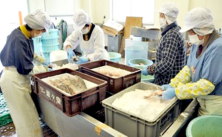 ふなずし（滋賀県産天然ニゴロブナ）３kg・約１２匹 加工食品 