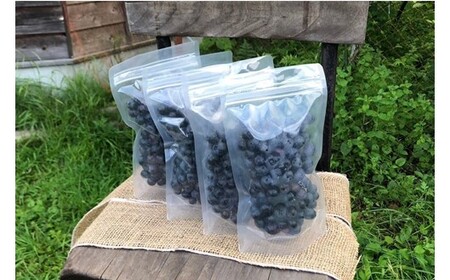 【季節限定】農薬・化学肥料不使用！愛情と栄養たっぷり冷凍ブルーベリー（1kg） 南小国産 冷凍 ブルーベリー 1kg 摘み立て 生 果物 新鮮 フレッシュ 小分け 農薬不使用 化学肥料不使用 産地直送 さこんうえの蛙 熊本 阿蘇 南小国町 送料無料