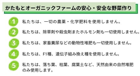 【6回定期便】お野菜セット かたもとオーガニックファーム 野菜