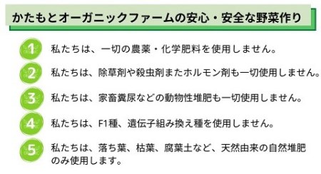 京都府・亀岡産 無農薬・自然栽培で育てた体も心も喜ぶ、かたもとオーガニックファームの季節のお野菜セット　10～20品目