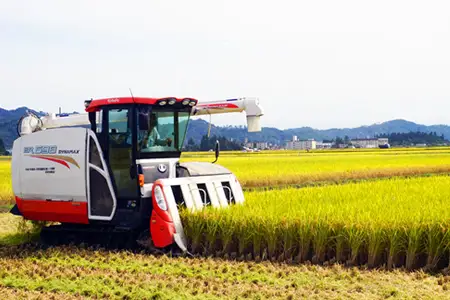 【令和8年産新米】【特別栽培米】野川清流米「ミルキークイーン」6kg(2kg×3袋)_A089(R8)