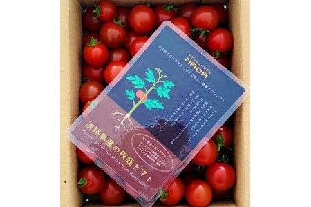 アグリミュージアムＮＡＤＡ　校庭トマト　1kg