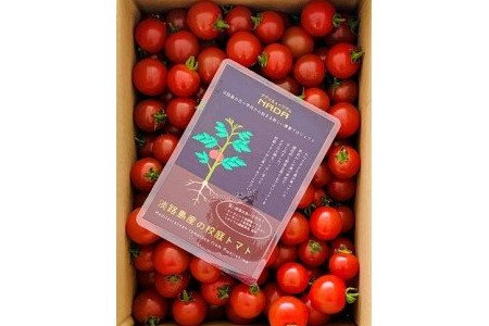 アグリミュージアムＮＡＤＡ　校庭トマト　２kg
