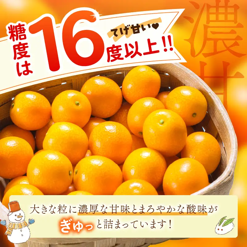 糖度16度以上 完熟 きんかん たまたま 計1kg以上 傷み補償分入り_BAV15-26
