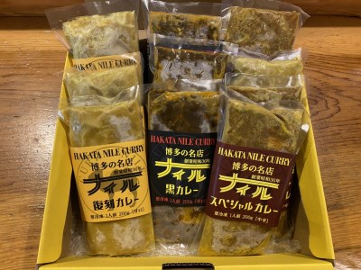 DR005_博多の名店ナイル 生カレー１０パックセット