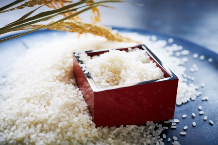 【ブランド米 きぬむすめ 定期便】12か月連続お届け！ 合計120kg（精米5kg×2袋 12か月）／154-4