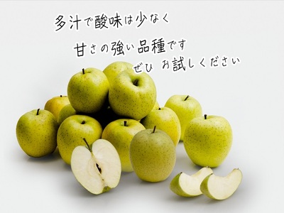 りんご 青森 王林 リンゴ 約 5kg (12～18玉) 青森県 鰺ヶ沢町産 西樹園 フルーツ 果物 果物類 白神山地 林檎