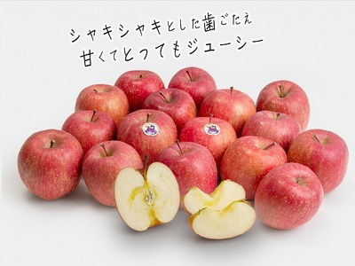 りんご サンふじ 木村りんご園 青森県産 りんご【約5kg 12〜18玉】