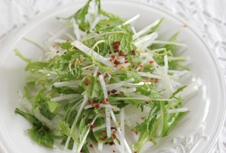 CQ038_【定期便】オーガニックサラダミニセット【植物性で育てた完全無農薬の葉野菜ブランド有機JAS】6回定期便