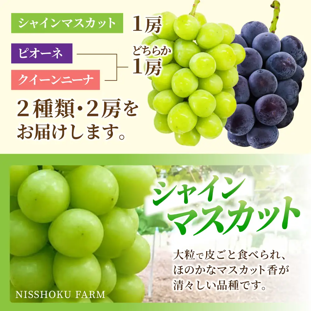 【ふるなびWEEK対象】シャインマスカット 大粒ぶどう詰め合わせ シャインマスカット入り 【nisfarm012-02-f】