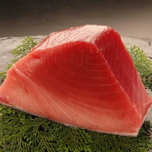 【定期便 3回】南鮪・大トロ・中トロセット(計1kg)【定期便】 (b100-039)
