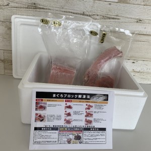【定期便 6回】 南鮪・大トロ・中トロ(約1kg) (b200-027)