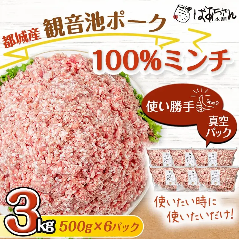 観音池ポーク100％ミンチ3kg(真空)〔13-1504〕 _ (都城市) 銘柄豚肉 500g×6パック 冷凍 ブランドポーク 国産