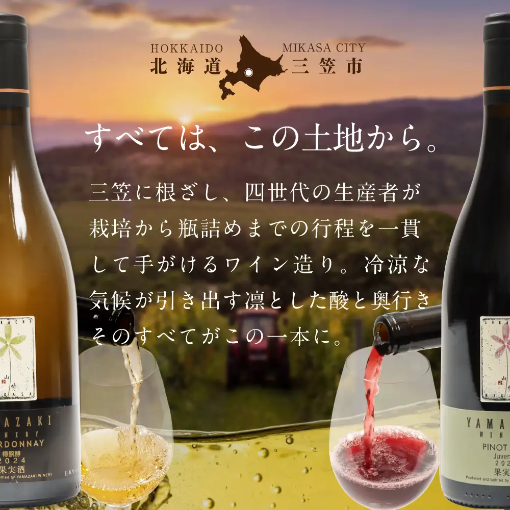 三國シェフ推奨！山崎ワイン(赤・白２本セット)各750ml【02002】