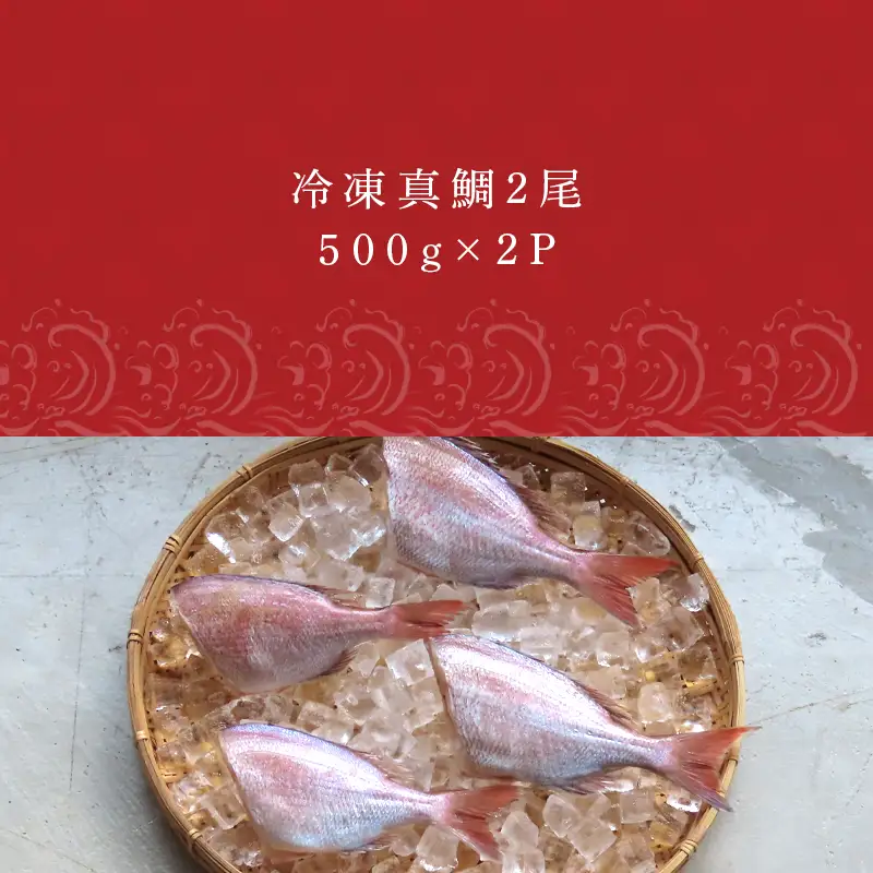 冷凍真鯛 2尾500g×2P(合計1kg)
