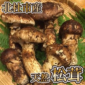 『極上天然松茸』（200ｇ）　山梨県北杜市産・朝採り・産地直送 [h019]