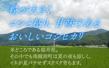 令和7年度産 特別栽培米 コシヒカリ 4kg 南越前町