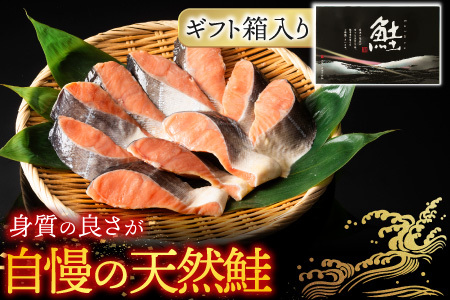 天然沖獲れ鮭1切×10P(約1kg) B-14062