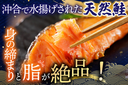 根室海鮮市場[直送]天然沖獲れ鮭1切×10P(約1kg) B-28060