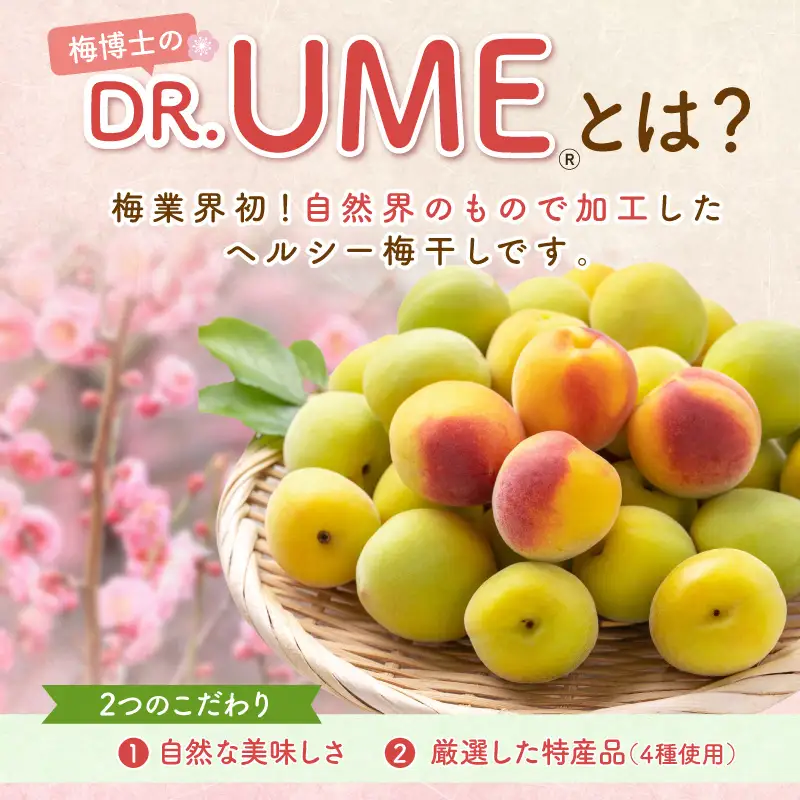 【0585-3】白山農園　梅博士のDR.UME(登録商標)