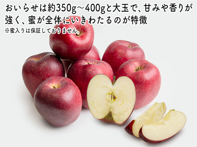 りんご おいらせ ヒバリノ園 青森県産 りんご【約5kg(6～10玉)】
