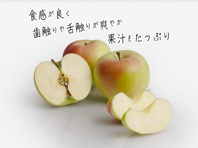 りんご ぐんま名月 ヒバリノ園 青森県産 りんご【約5kg(12～16玉)】