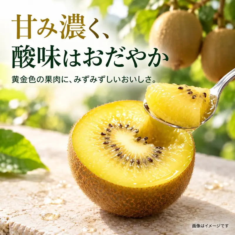 香川県オリジナルキウイ「さぬきゴールド」大玉約1.2kg　果実 甘い 讃岐 くだもの ジューシー フルーツ 果物詰合せ