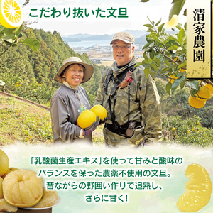 文旦 5kg 家庭用 文旦