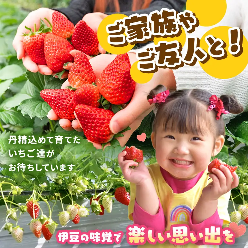 伊豆の国市いちご狩り共通券（1名様分）