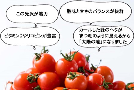 ＜ 9/15までの受付 ＞ 北海道産 ミニトマト 太陽の瞳 L サイズ 1kg 新ひだか町