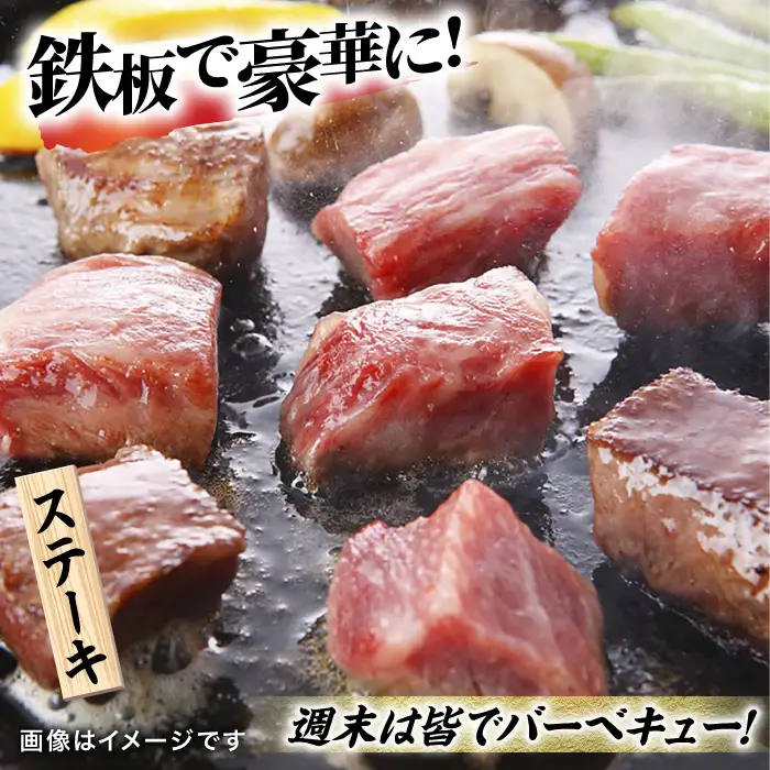 佐賀牛 ヒレ サイコロステーキ 480g すてーき ヒレ 黒毛和牛 [FCV001]