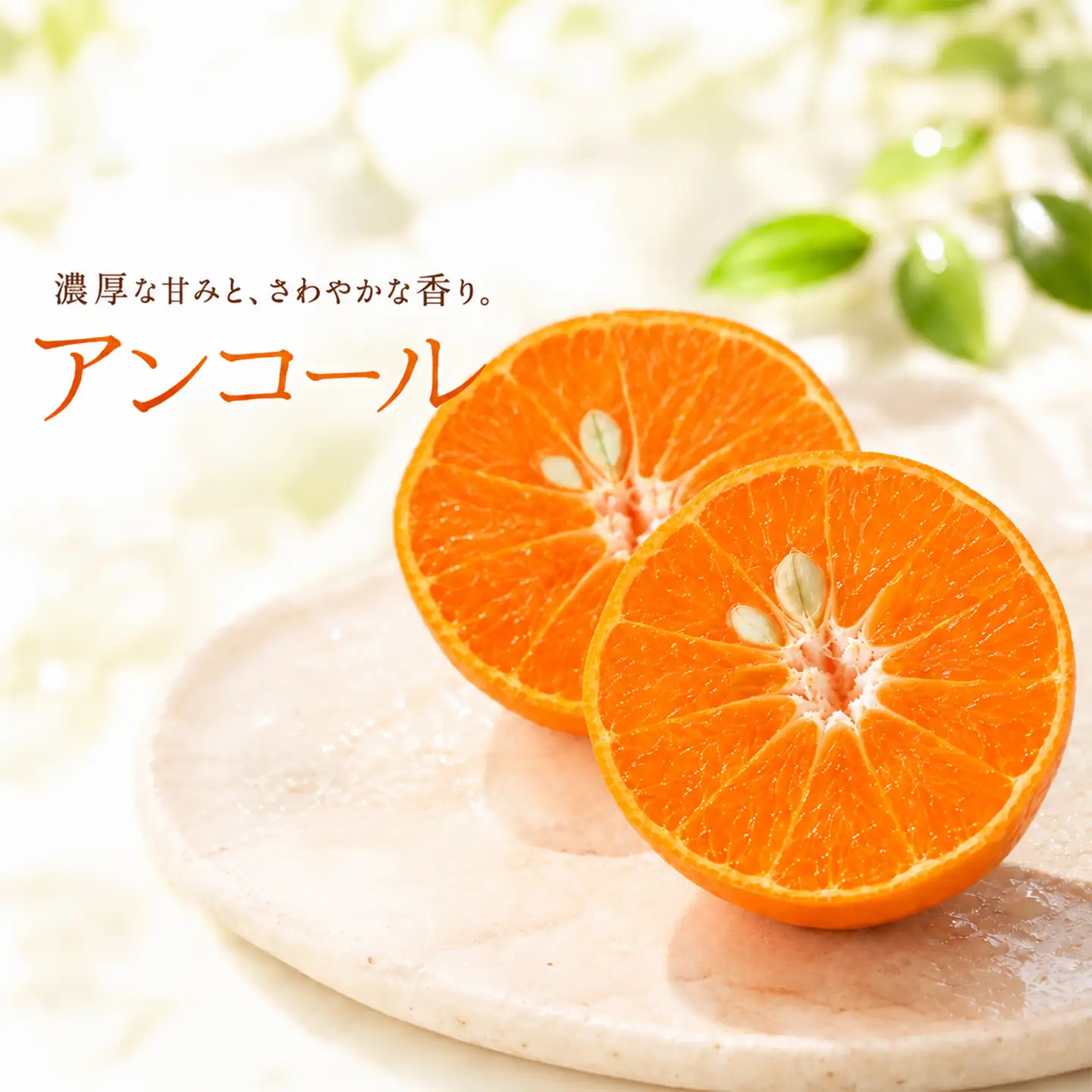 アンコール 訳あり 3.5kg 規格外 ミカン 柑橘 2027年発送 先行予約 ／ 野菜ソムリエ石児さんの「アンコール 3.5kg」＜103-017＞