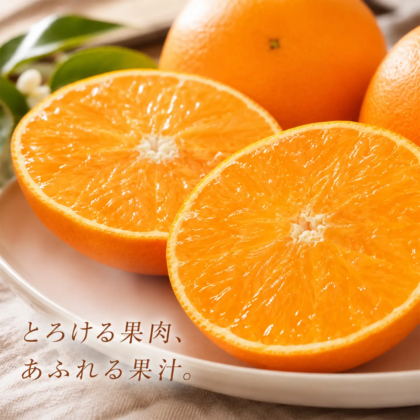 【2027年先行予約】 せとか 訳あり 5kg 柑橘 先行予約 野菜ソムリエ石児さん 豊予農場 ＜103-013＞