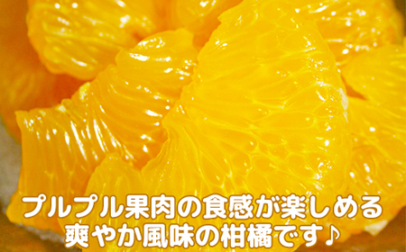 蔵姫 くらひめ (紅甘夏) 秀品 約4kg【今村農園】 果物 期間限定 数量限定 九州 大分県 ＜107-032＞