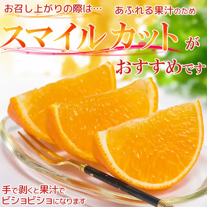 12月発送開始 おひさまきらりん 秀品 約2.5kg 【今村農園】 果物 みかん 期間限定 数量限定 九州 大分県 ＜107-024＞