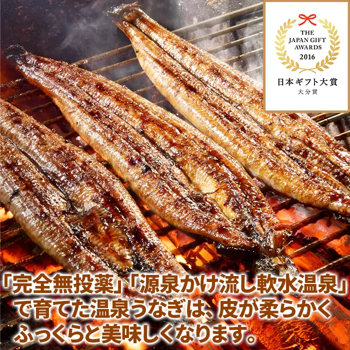国産 温泉うなぎ 蒲焼 カット 70g×3【大分水産】 うなぎ 完全無投薬 九州 大分県 うな丼 うな重 冷凍 鰻 ギフト 受賞 食べきり 個包装 小分け スタミナ 夏バテ ＜104-002＞