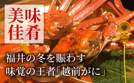【先行予約】越前がに 大 (約1.1kg以上)×1杯【11月～12月発送】日本海 直送