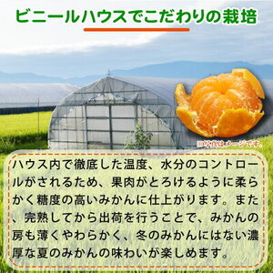 【2027年先行予約】紀州和歌山 ハウスみかん 2.5kg 赤秀品_G6029