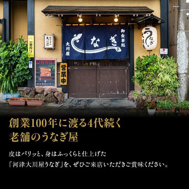 食事券 10000円分 河津大川屋うなぎ 国産 うなぎ 食事券
