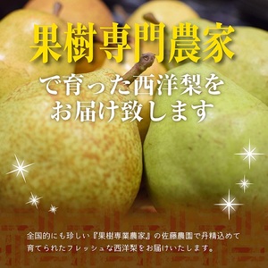 SA3077　六代多右エ門　西洋梨 おまかせ3品種　約3kg(8～9玉) 