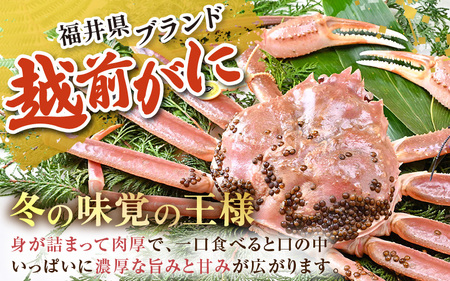 【先行予約】【12月発送限定】茹で越前がに  1杯 1.1kg～1.3kg《新鮮！茹でたてを発送》／ 高級 福井 ブランド ズワイガニ 黄色タグ ボイル 冷蔵 蟹 カニ 期間限定【年内発送 12月23日まで】※2026年12月上旬～2026年12月25日で発送 [aw002-x004_12]